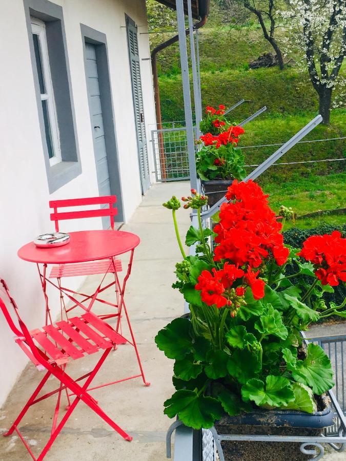 Villa Bacchetta - Forest View Oleggio Castello Екстериор снимка